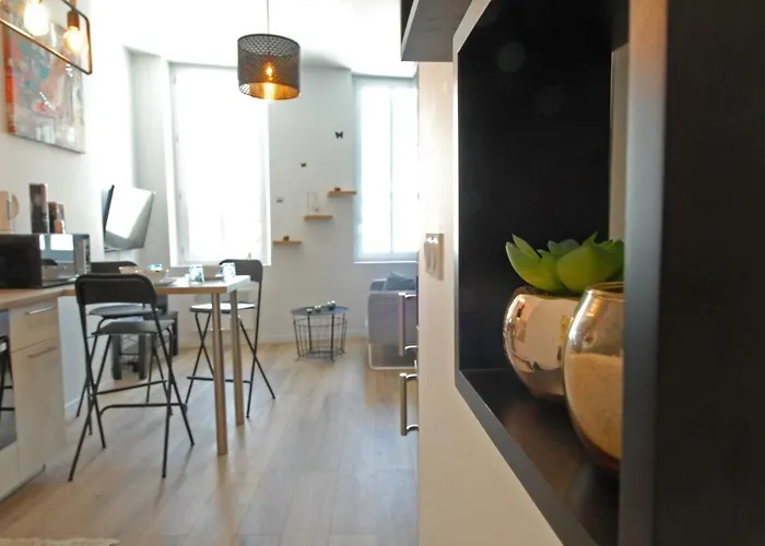 Appartement Neuf Hyper Centre _ Saint Ferreol